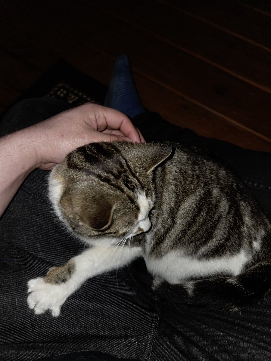 EmberWuff's tweet photo. Will post schedule tomorrow. Kinda trapped right now. Have a good night everyone! https://t.co/Sbrr2K46VG