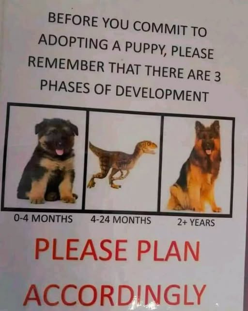 Papa Woof und Krampus und Bleaken (@woofknight) on Twitter photo 