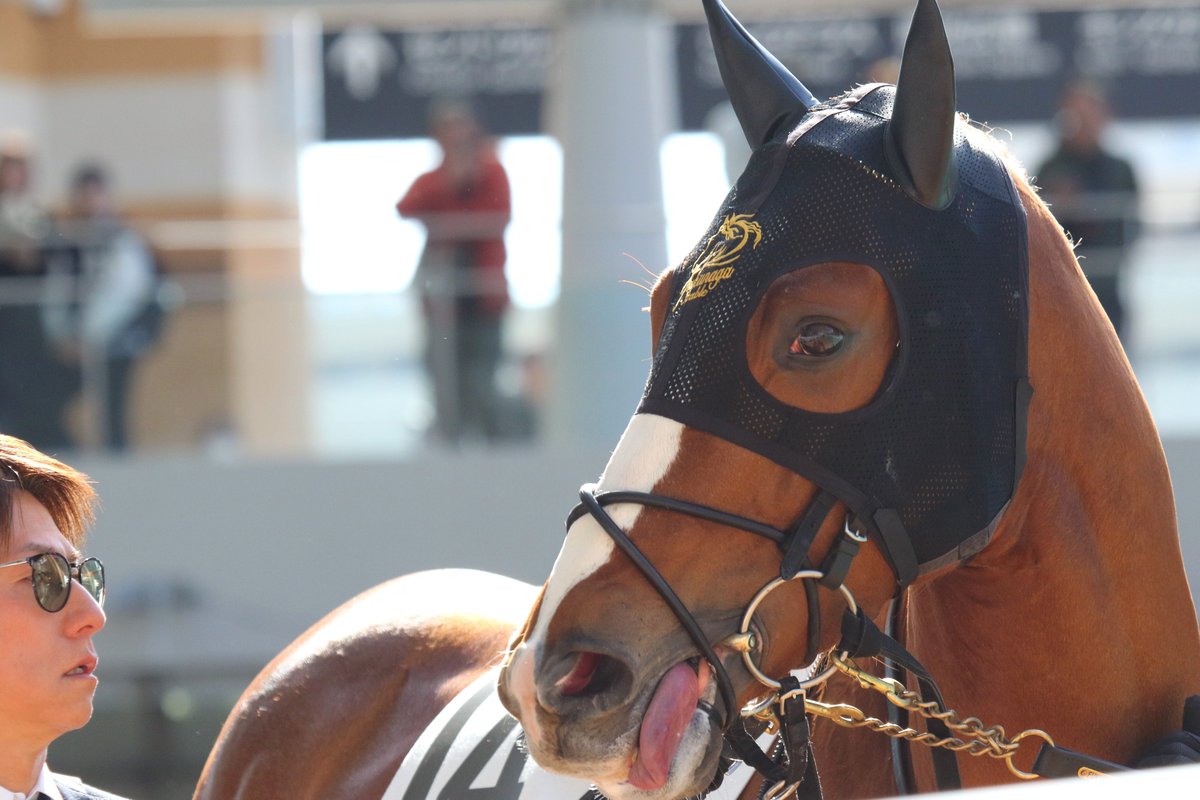 26.3.1 阪神2R ブロンザイト(2)