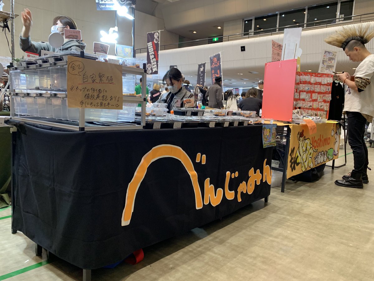 ベンジャミン('﹏*๑) べんじゃみん🍊３月１日近畿レプタイルズマーケット出展【大阪平野】🙌🏻 tweet media