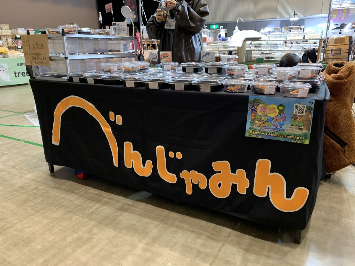 ベンジャミン('﹏*๑) べんじゃみん🍊３月１日近畿レプタイルズマーケット出展【大阪平野】🙌🏻 tweet media