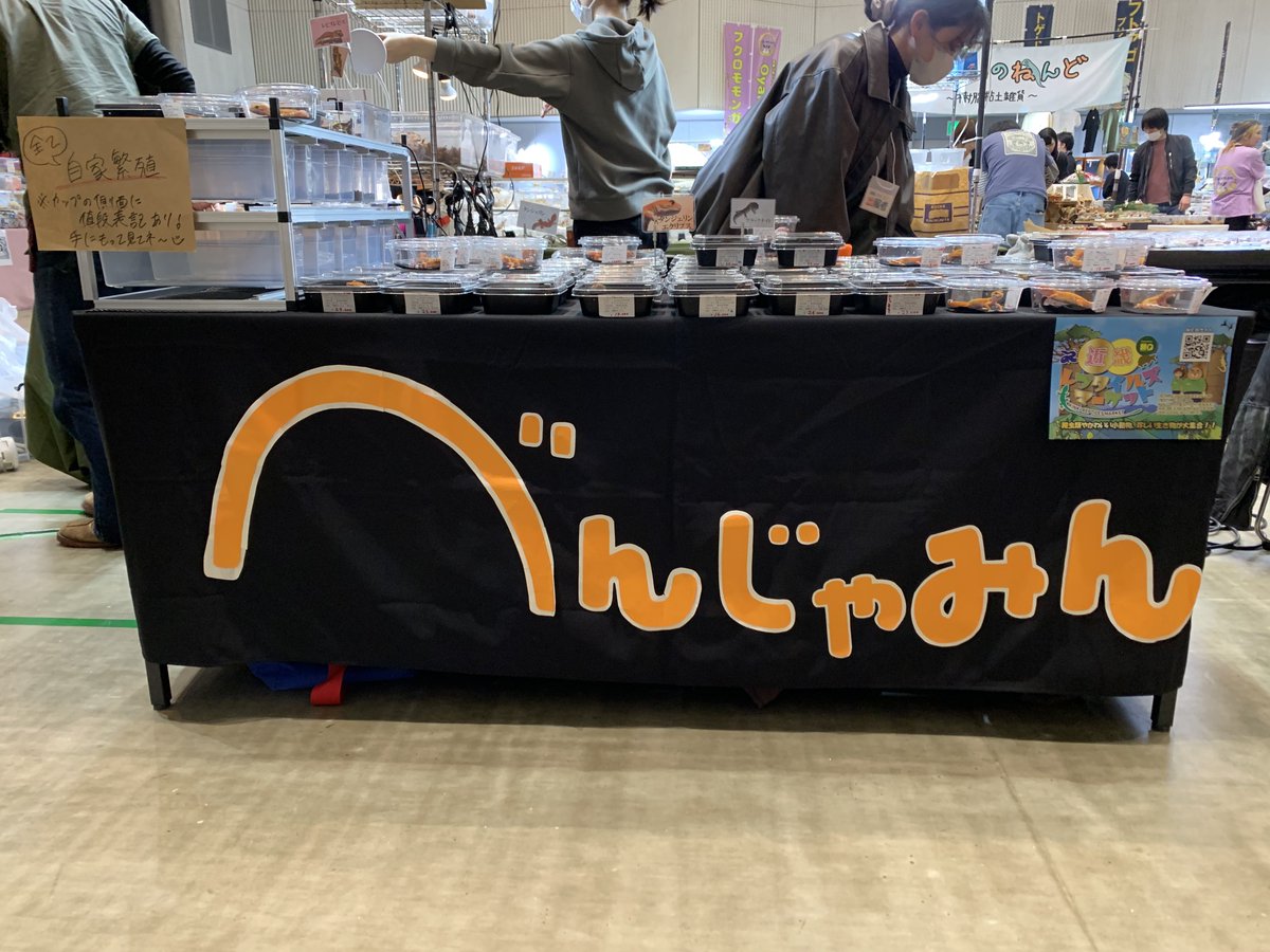 ベンジャミン('﹏*๑) べんじゃみん🍊３月１日近畿レプタイルズマーケット出展【大阪平野】🙌🏻 tweet media