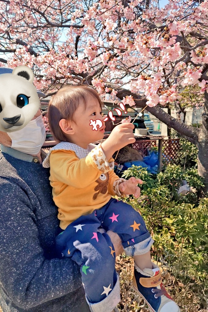 南!!(2y👦イヤイヤ期突入)+🐈⬛21y♡ (@UxOAHibFiFkNR5i) / Posts / X