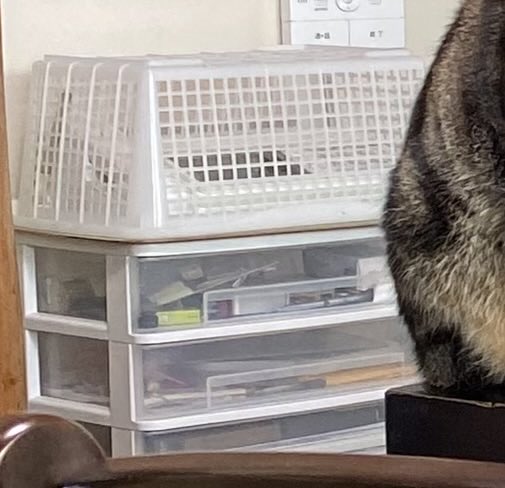 774@う125-し89 tweet media