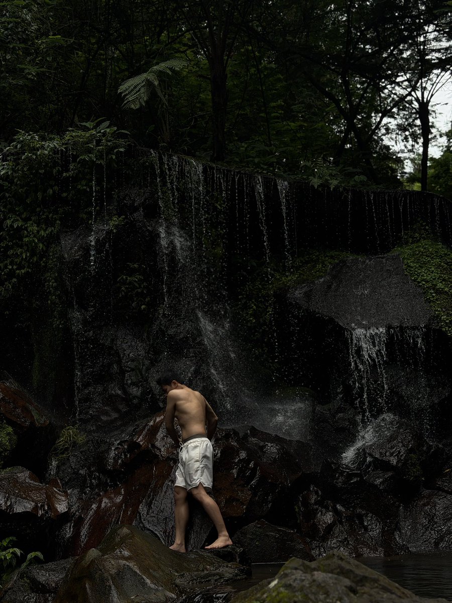 van (@vxnharries) on Twitter photo 