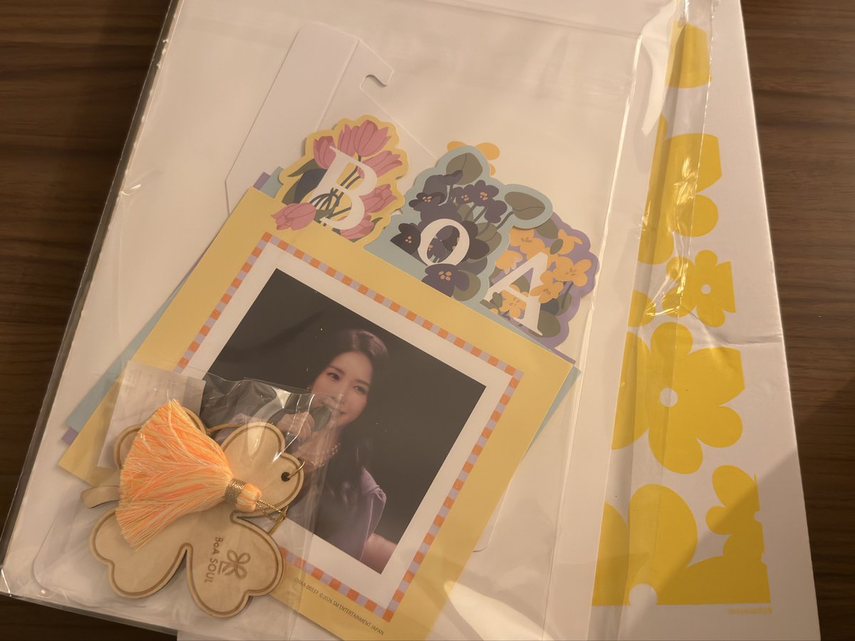 ここにいる皆さまに比べたら歴は短いけど10数年続けたSOUL最後の会報はさみしすぎる………どんどんボリュームは減ったけどここまで会報を発行し続けてくれてありがとう（最後なら23年のまとめぐらいしろよと思ったけど🤫）