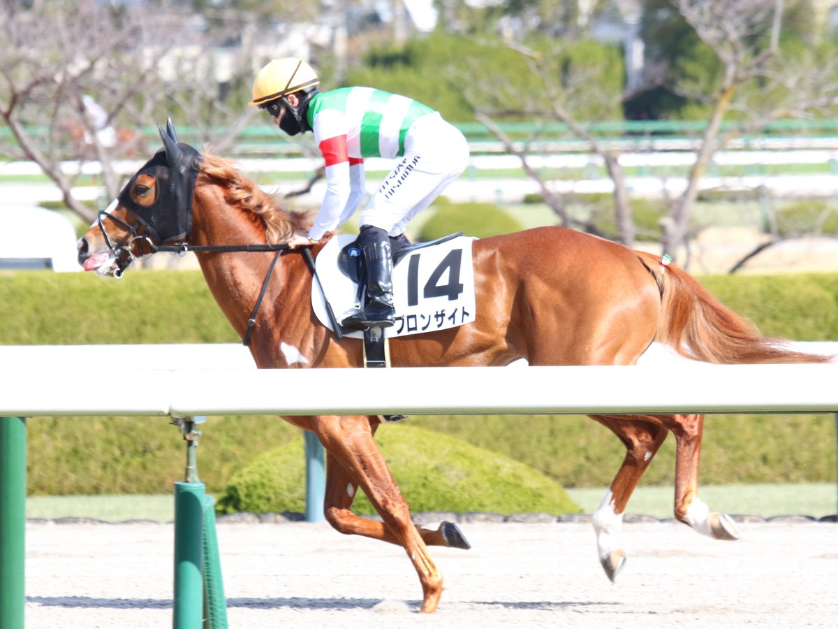 26.3.1 阪神2R ブロンザイト(3)