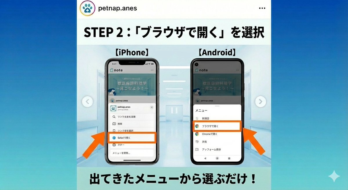 PetNap tweet media
