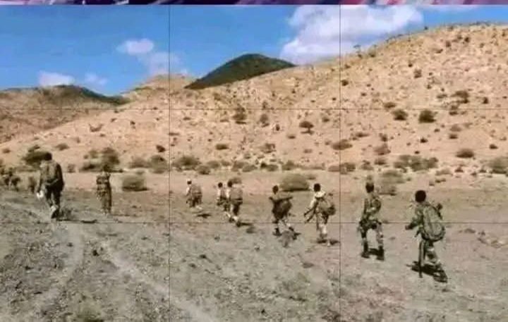 Behiwot Tilahun🇪🇹 በህይወት ጥላሁን🇪🇹 tweet media