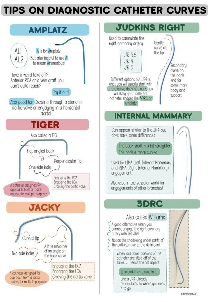Neshwan Albarwari tweet media