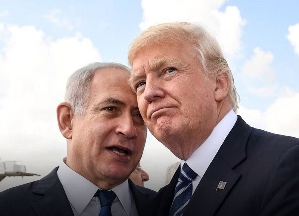 ققنوس🇮🇷 tweet media