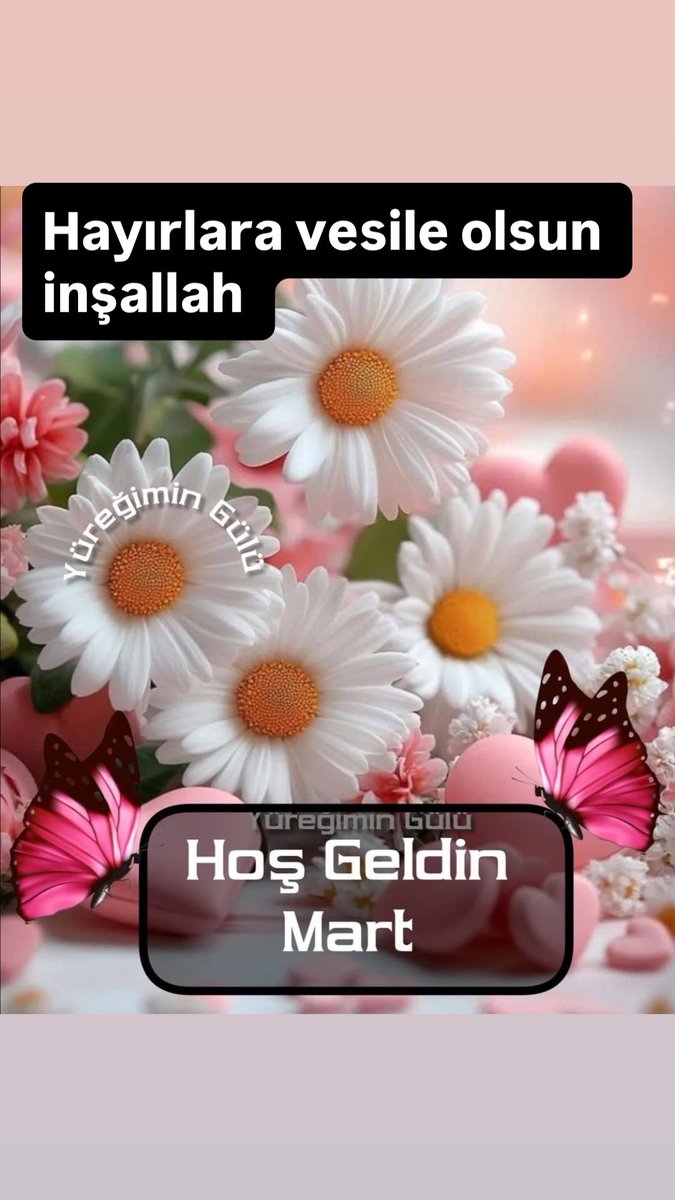 KuafTrkan's tweet photo. 🍃Yeni ay dünyamıza
Barış,huzur,mutluluk 
   Getirsin inşallah..!
🌿GÜNAYDN DOSTLAR🌿 https://t.co/upYHYbrtaH