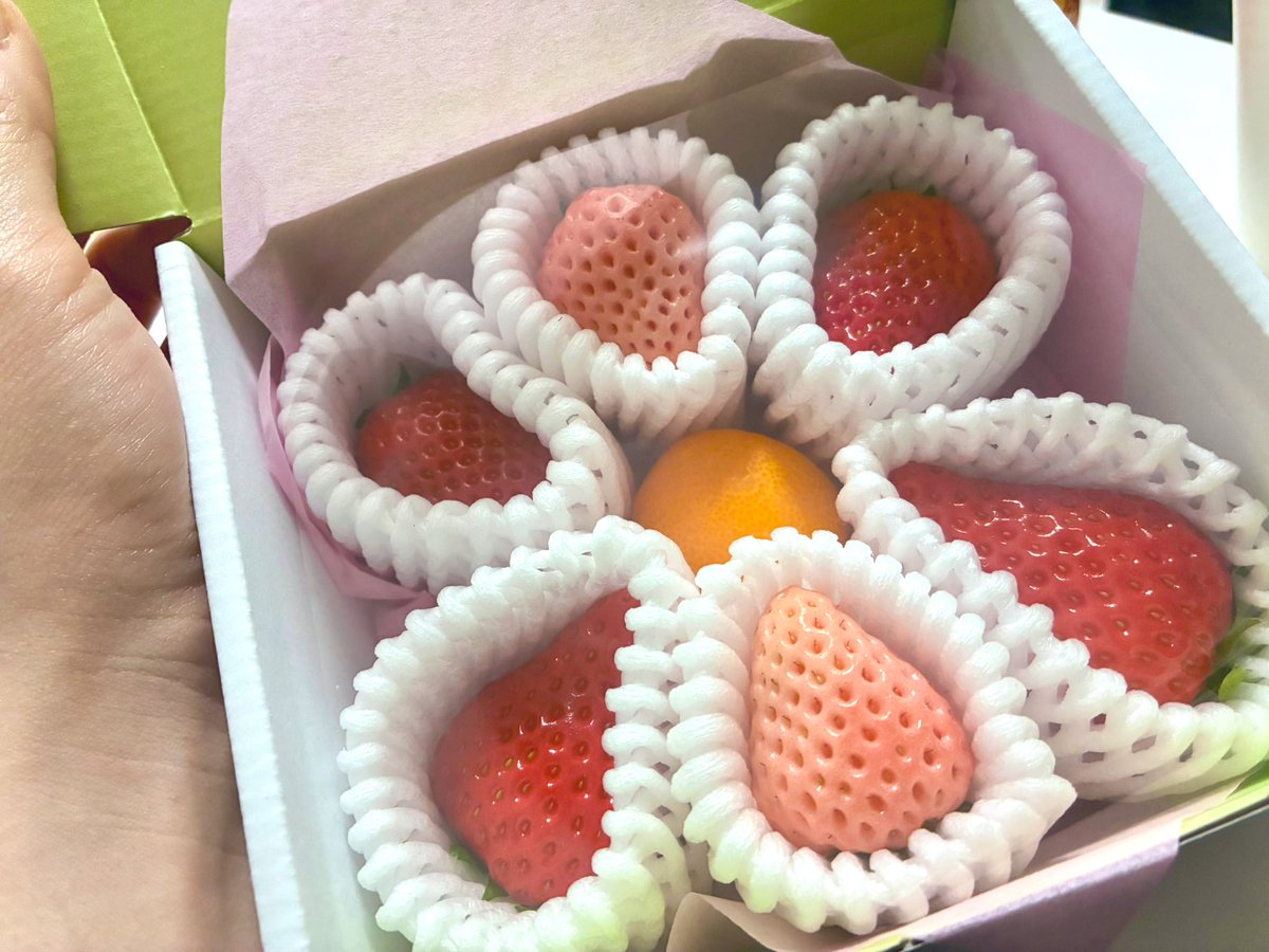 nyaha___n's tweet photo. めいちゃんから🍓届いた！かわいい！ https://t.co/80qkevUiXi