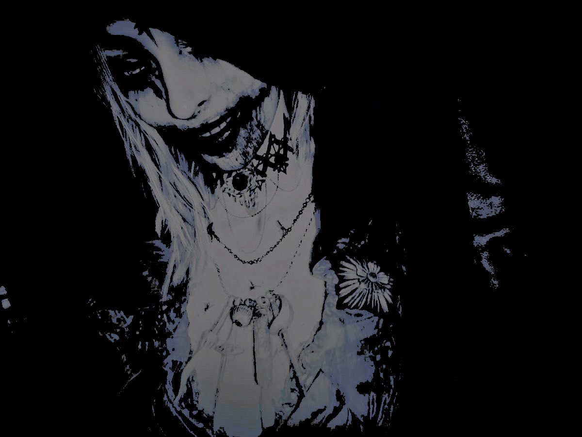 ɢʜᴏsᴛ ᴄᴀᴛ ⋆❈ tweet media