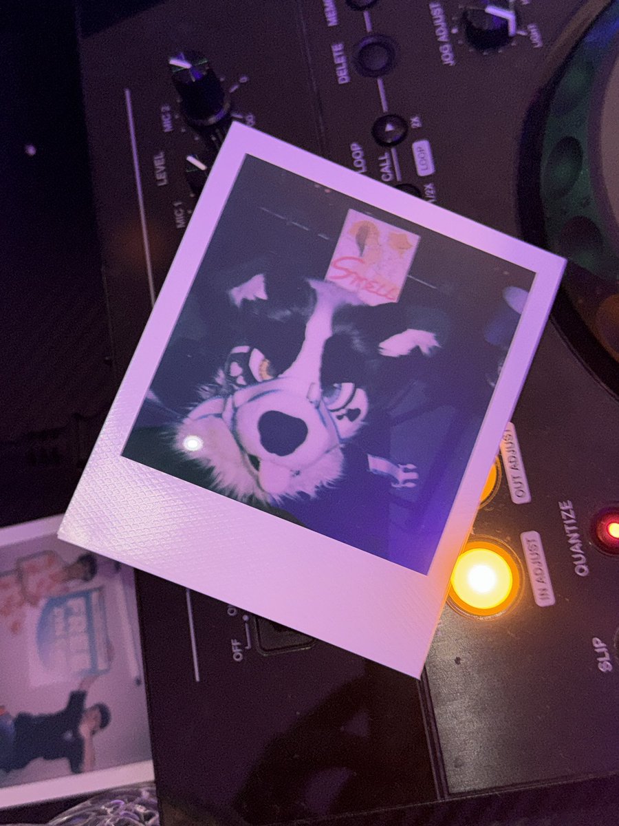 DIOR🐶 (2 PIECE) 🔜 home tweet media