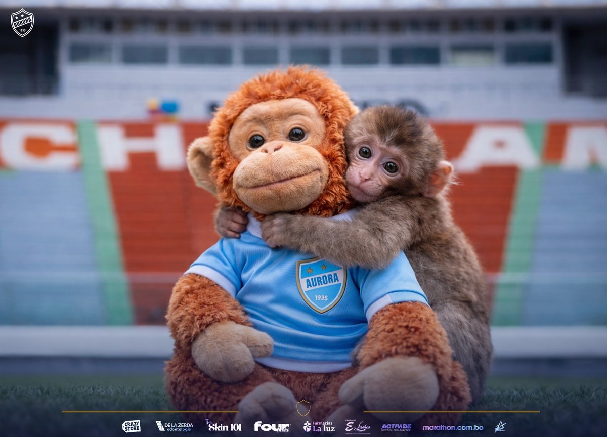 🔵UN AMOR INCONDICIONAL⚪
#VamosAurora