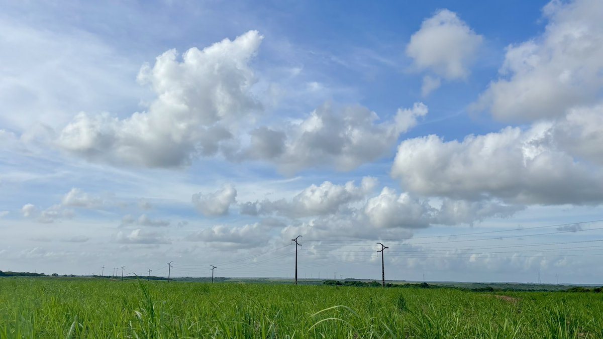 joni (galego invocado) tweet media