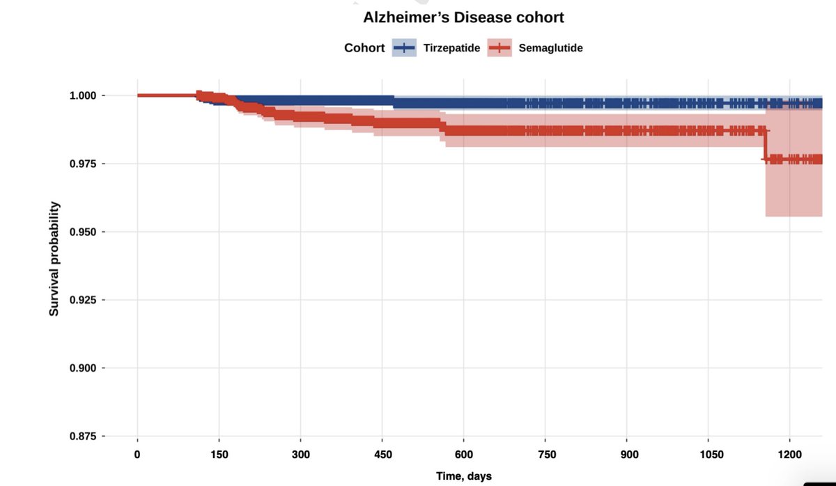 Leonardo Cardoso tweet media