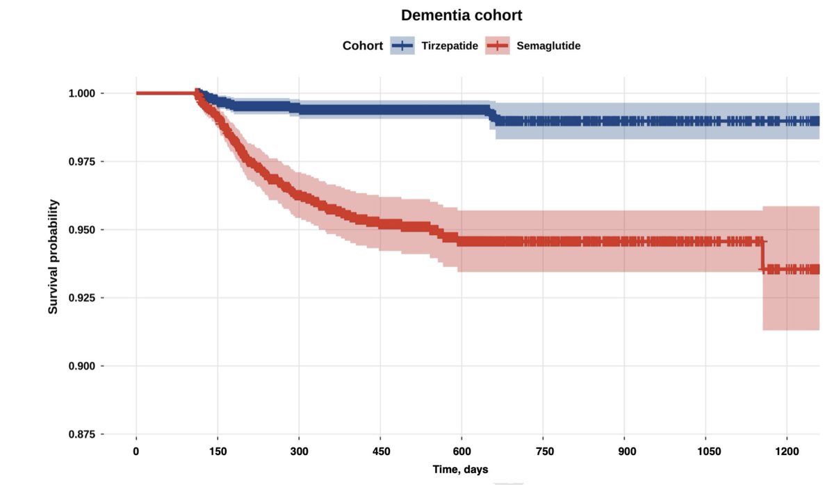 Leonardo Cardoso tweet media