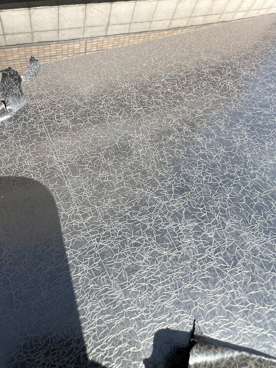 pollux 横浜 カーラッピング・プロテクション tweet media