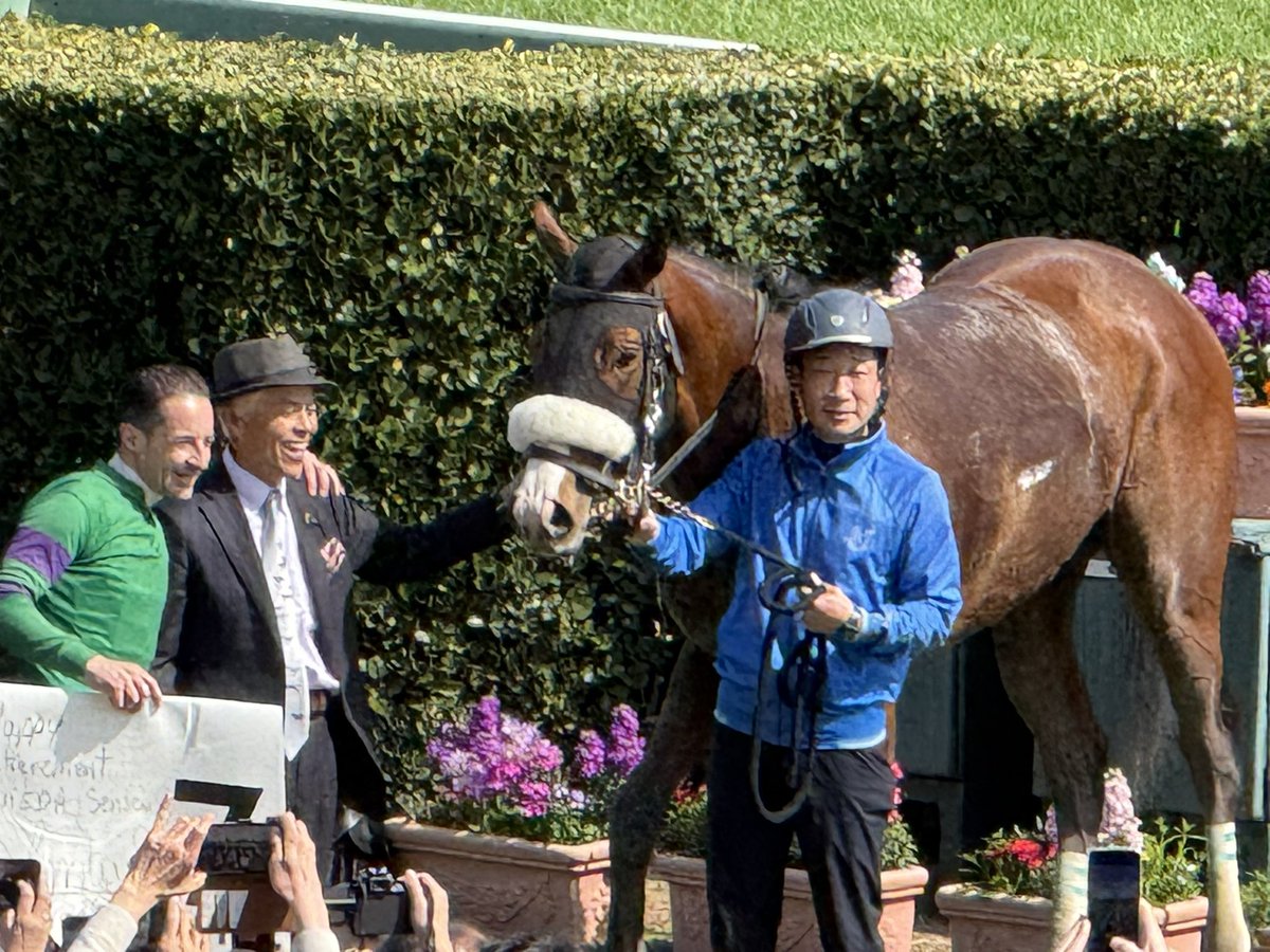 Post by yuki🐴 on X: これもよき