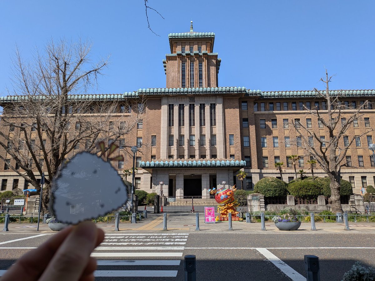 Bule Squirrel(リス) tweet media