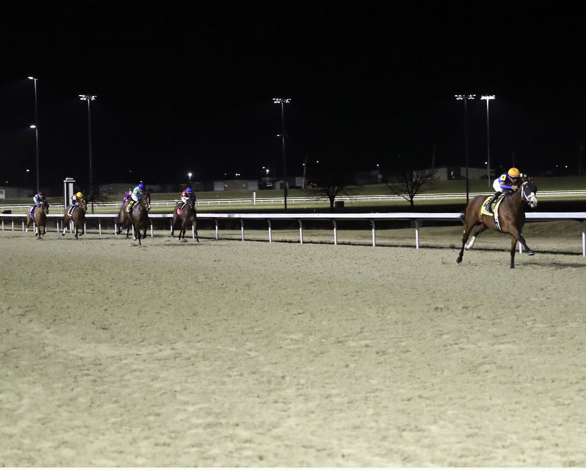 Kevin Kerstein tweet media