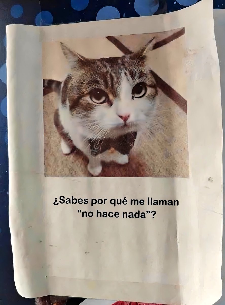 ニコちゃんとこたろう先生とトロとわさび姐さん tweet media