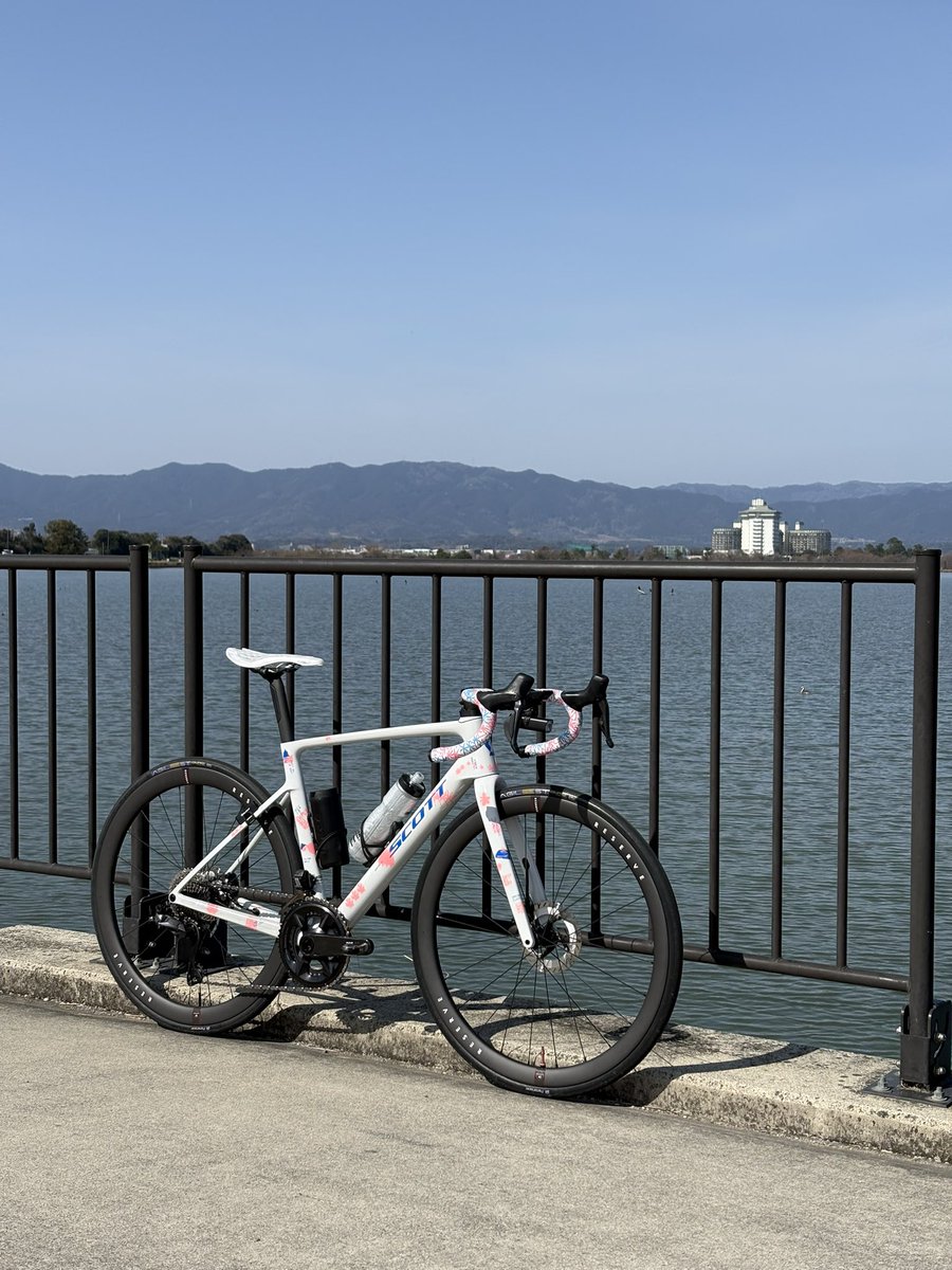 k_o_7193's tweet photo. サイクリング日和🚴‍♂️
花粉ヤバそうやけど笑
15mmハンドル下げて試走！
ん〜あんまり違いがわからない笑

 #ロードバイク
 #SCOTT
 #ADDICTRC https://t.co/A3ahbhfKX4