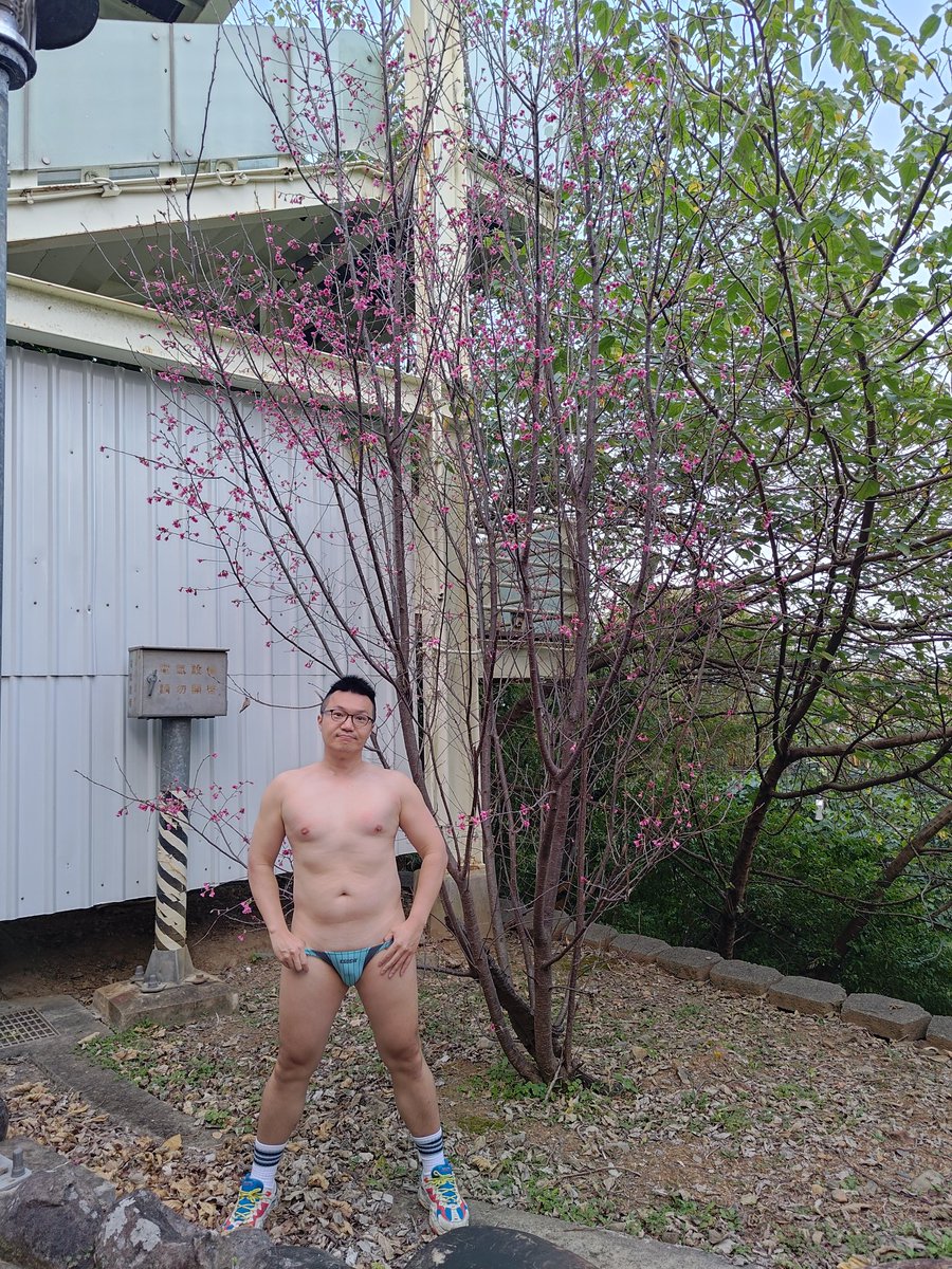 哆啦藍貓 tweet media