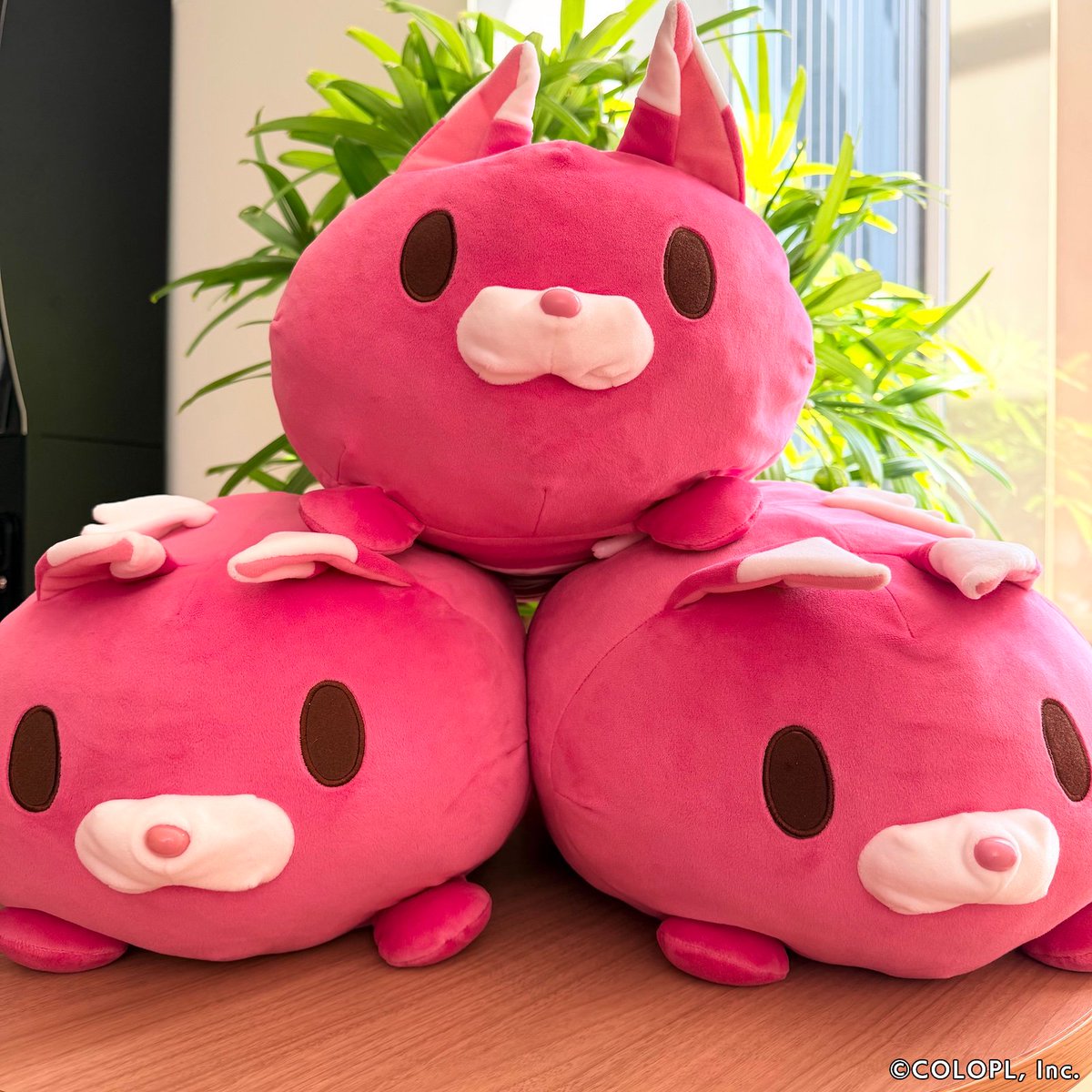 公式】白猫プロジェクト NEW WORLD'S (@wcat_project) / Posts / X