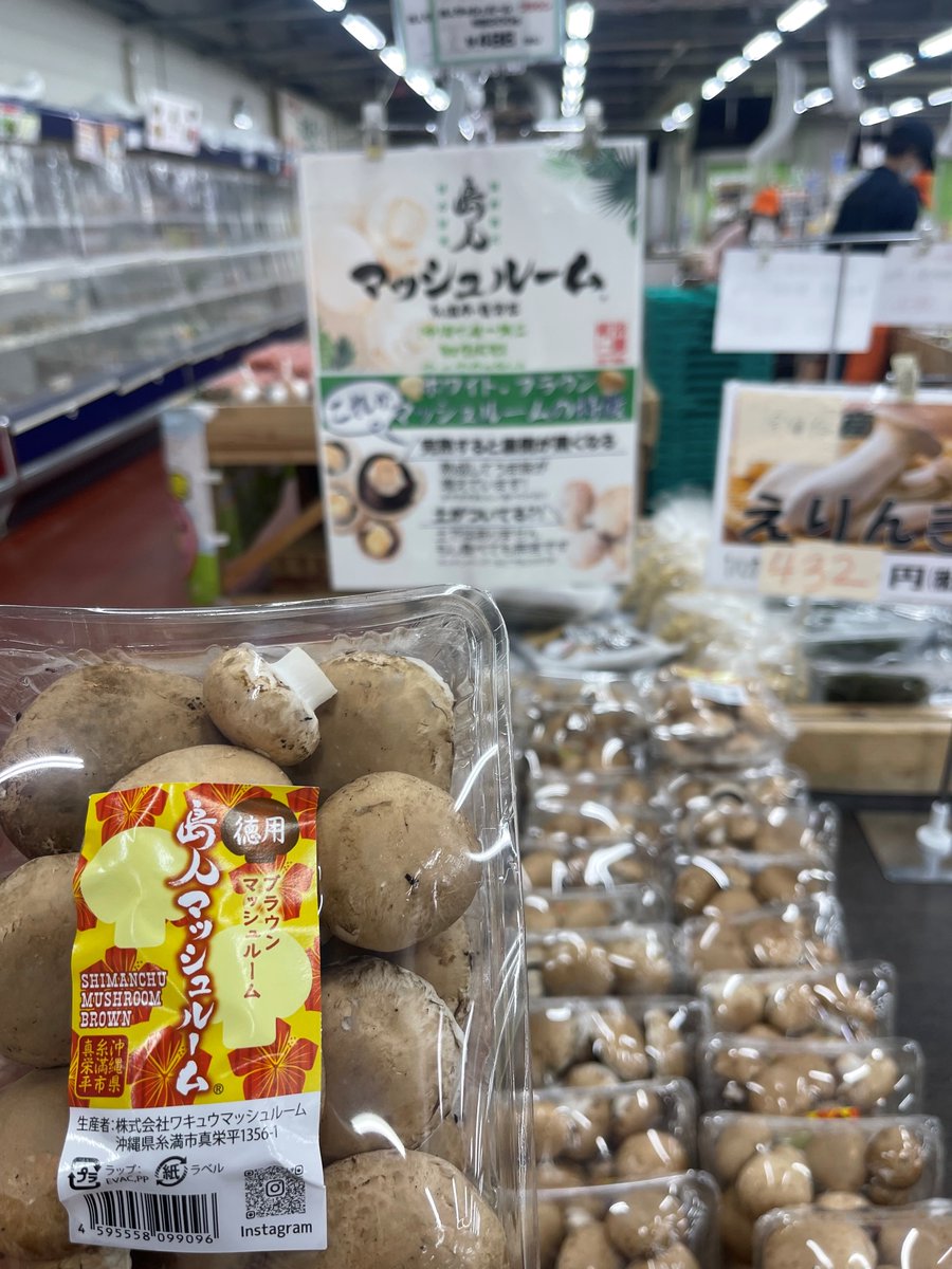 king_fungi's tweet photo. 2月27日金曜日。NHKで島人マッシュルーム特集が再放送されたみたい。糸満ファーマーズですごく売れてます。飛ぶように https://t.co/eJZZl5EIS7