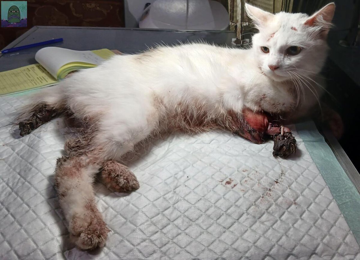 Tanyarl 💚 tweet media