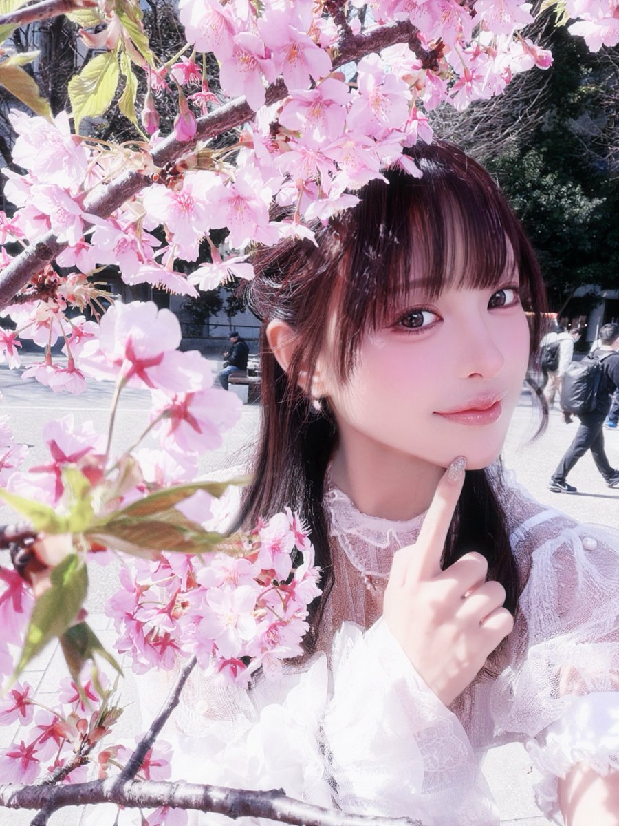 Post by ͟𝙆͟𝙐͟𝙍͟𝙐͟𝙈͟𝙄͟ on X: 桜咲いてる🌸