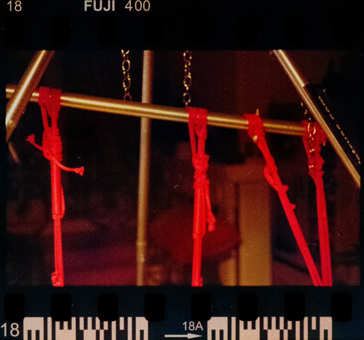 🎞️🪢
<a href="/gene_eeeeee/">gene</a>