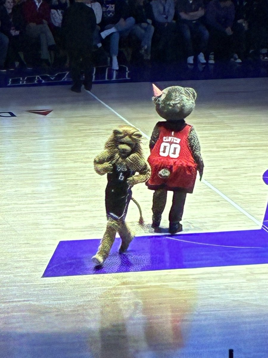 ETrainSports's tweet photo. I may leave Sacramento from time to time, but Sacramento always finds its way back to me.

Slamson is here at the Delta Center to celebrate the Utah Jazz Bear’s birthday! https://t.co/nzMI7H6Ltx