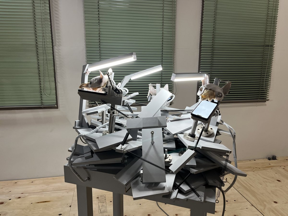 アートラボあいちで宇留野圭展『if』
箱状の小部屋が乱雑に組み合わさったインスタレーション。小箱は、バネと動力、パイプからの空気によって接続、干渉し合い、見えない気配や動きが不協和音を奏でる。スケール感と凝った造作に慄く。