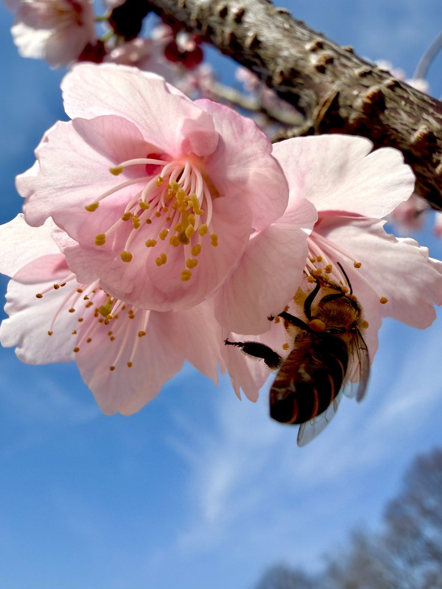 PARANOIA106 (@PARANOIA106) / Posts / X