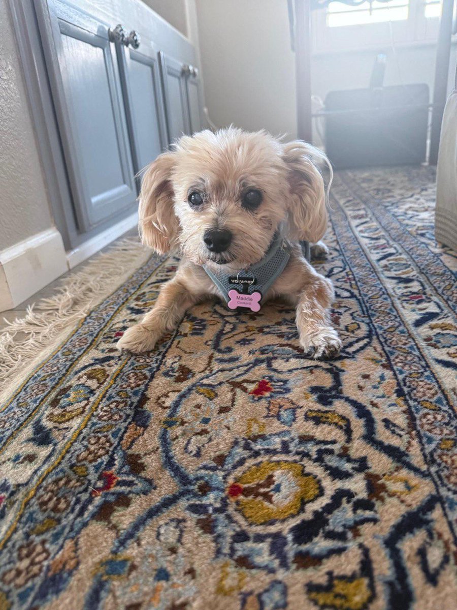 History Speaks tweet media