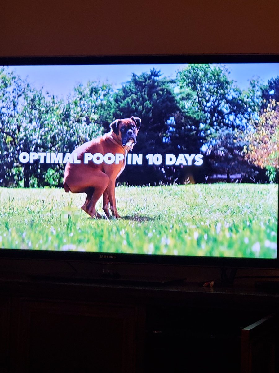 flipkitty's tweet photo. Now we got #Senekot for dogs #Iams #oplive https://t.co/o3dBCV0ZDW