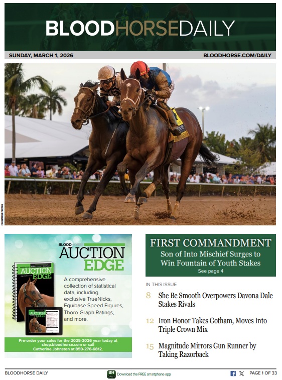 BloodHorse tweet media