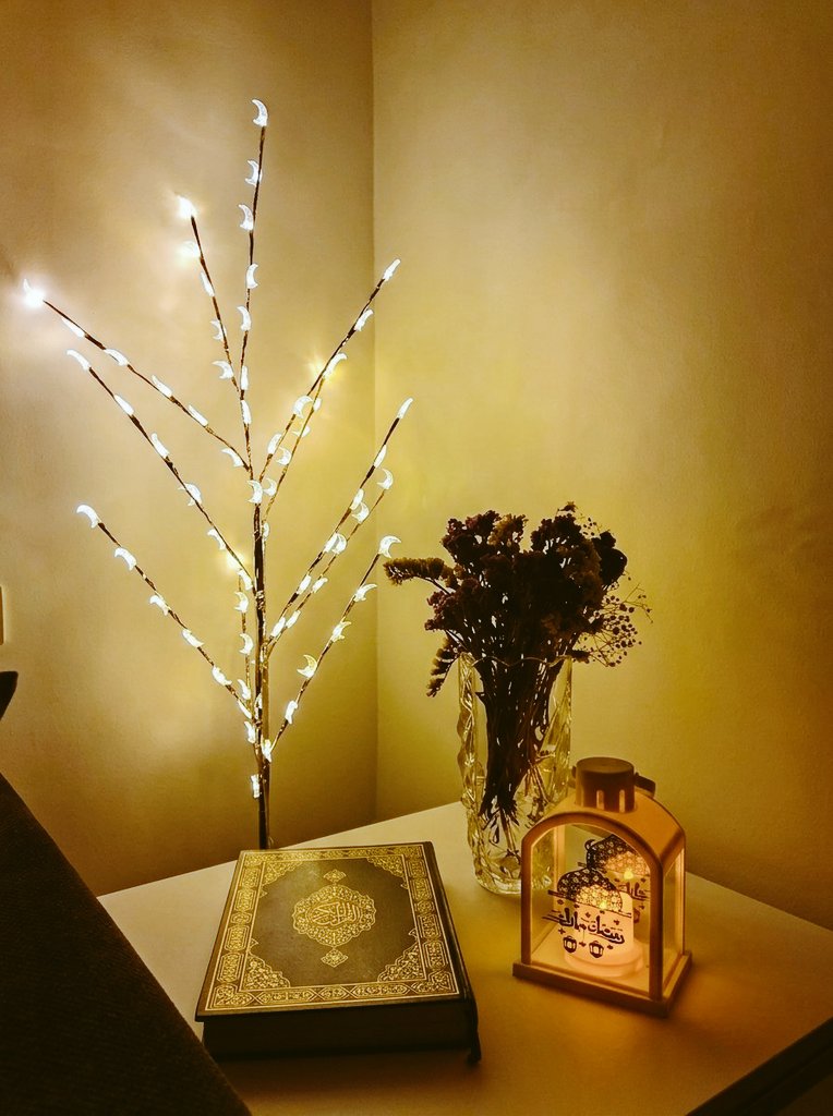 12 | رمضان 🌙

لا تكسل عن الدعاء، فإنَّ شهرك الذي تقضيه شهر إجابة الدعوات وتحقق الأمنيات، ألا ترى أن آية إجابة الدعاء في سورة البقرة جاء قبلها الإشارة إلى شهر رمضان، وبعدها الإشارة إلى ليل رمضان، تأمل: (وإذا سألك عبادي عني فإني قريب أجيب دعوة الداع إذا دعان)
#رمضان_مبارك