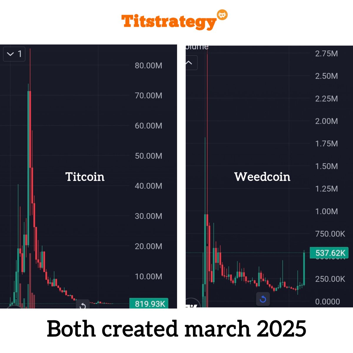 TITSTRATEGY 🪙 tweet media