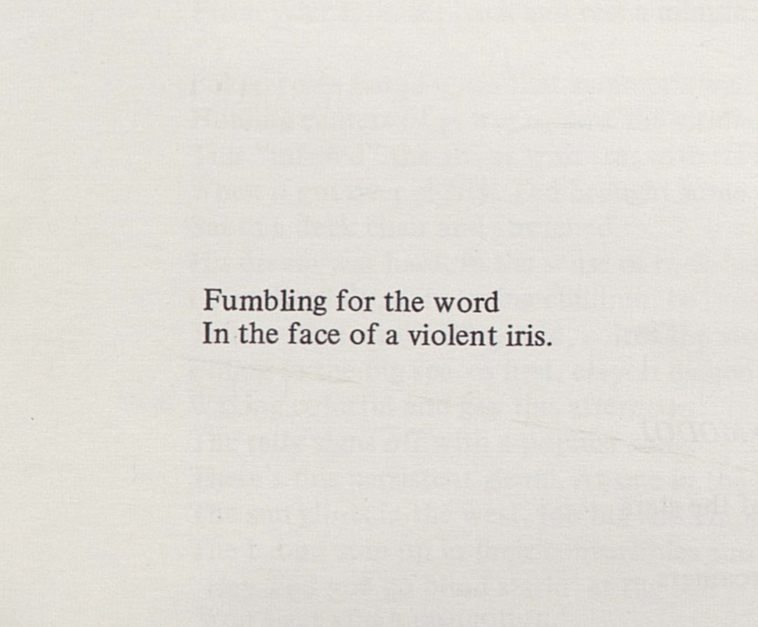 Sandy Berrigan