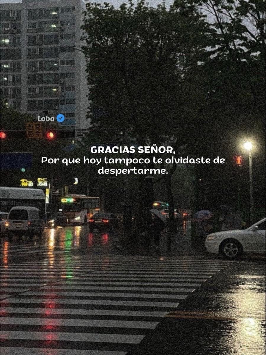 godisgoodpostt's tweet photo. 💖 https://t.co/tglPy66vWf
