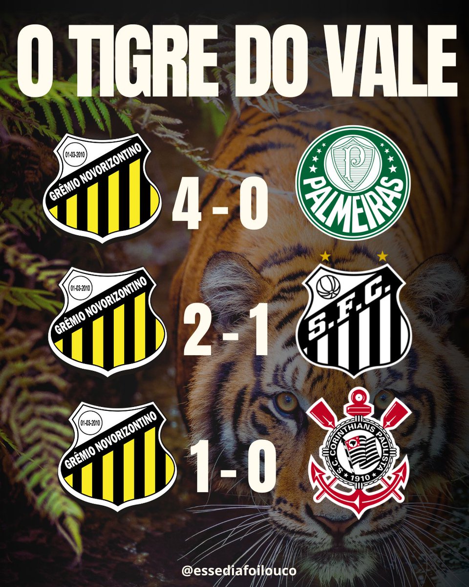 O Novorizontino é o destruidor de gigantes.