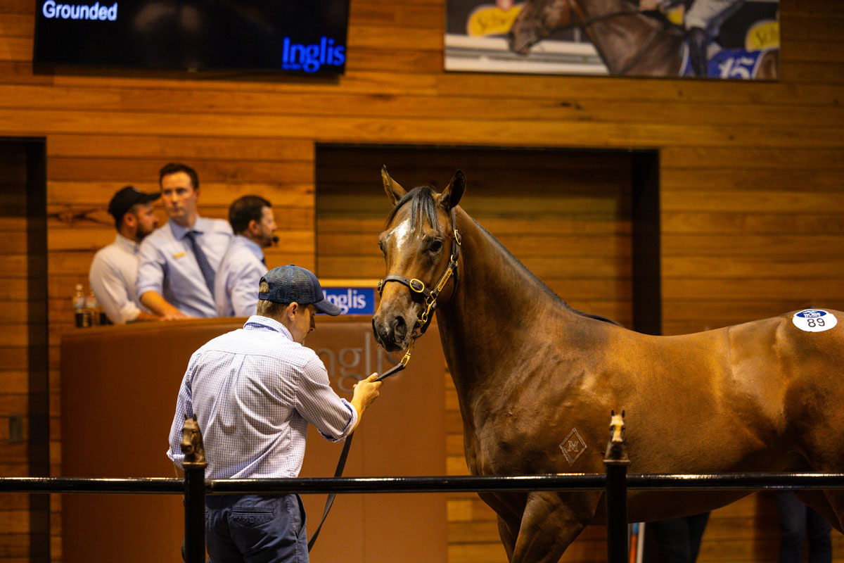 Cannon Hayes Stud tweet media