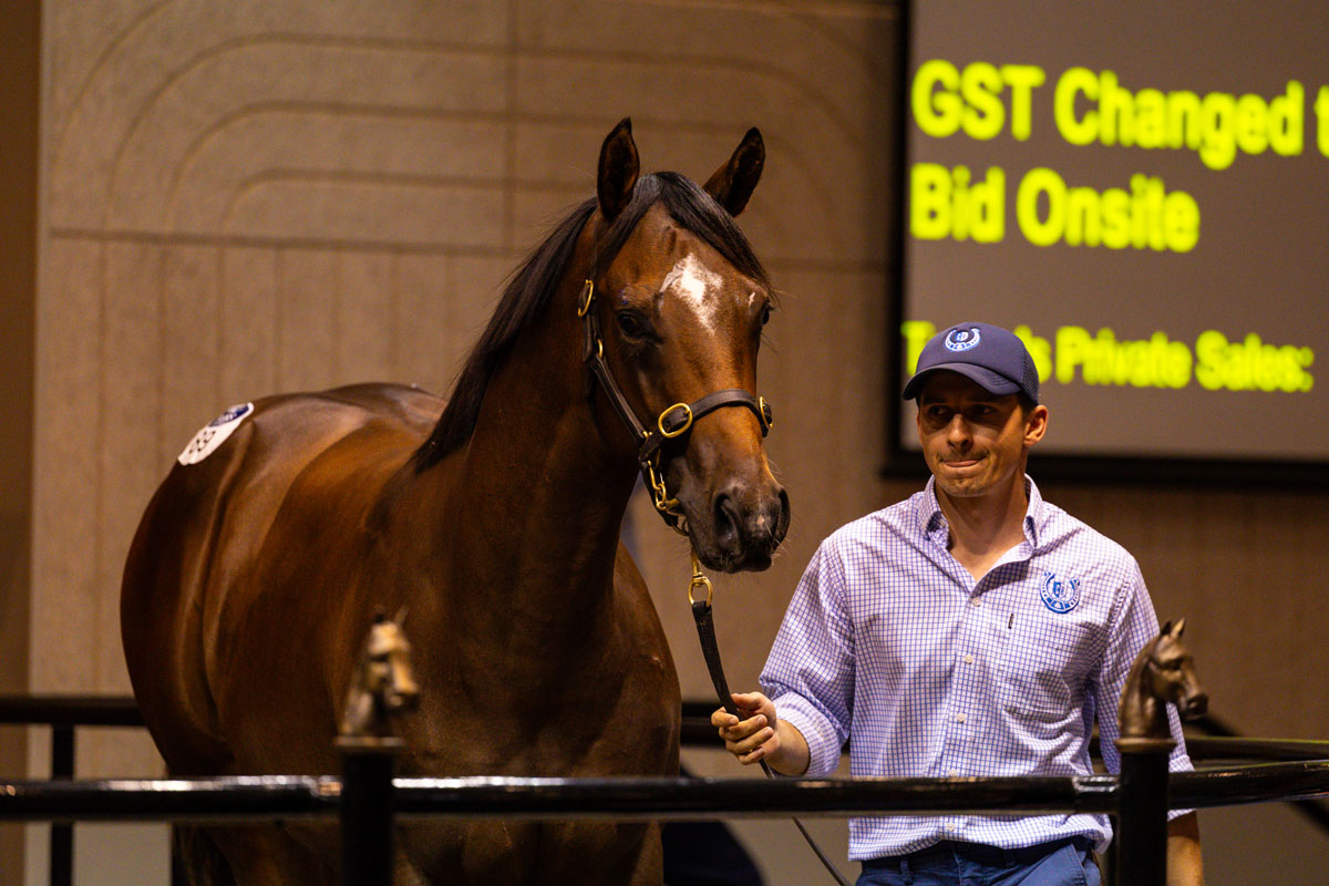 Cannon Hayes Stud tweet media