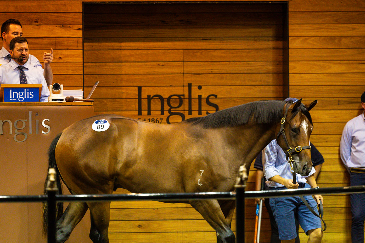 Cannon Hayes Stud tweet media