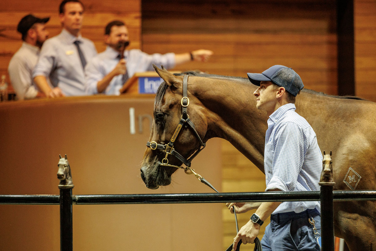 Cannon Hayes Stud tweet media